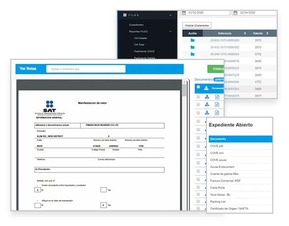 software-de-comercio-exterior-modulo-files